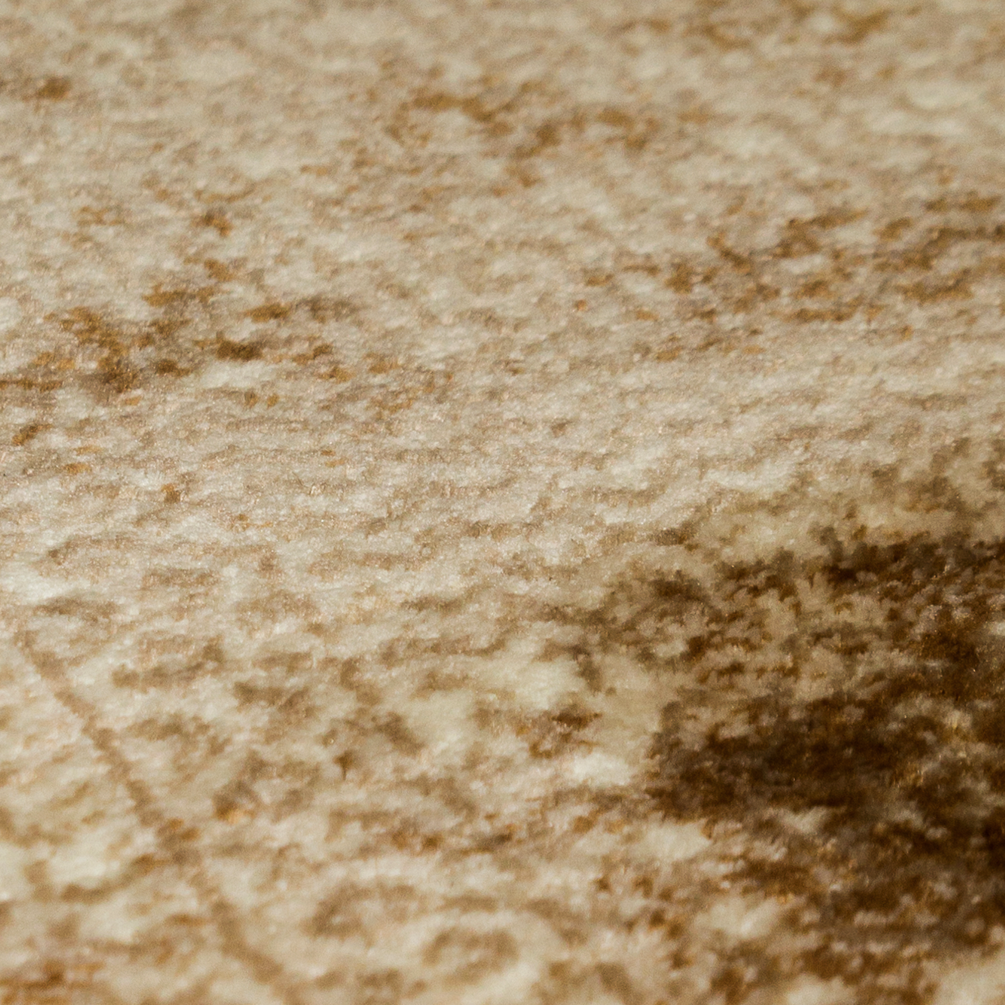 Cream Canvas: Contemporary Textured Area Rug